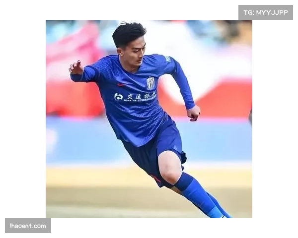 传统豪门新援融入速度不一 申花国安效果显著海港待提升